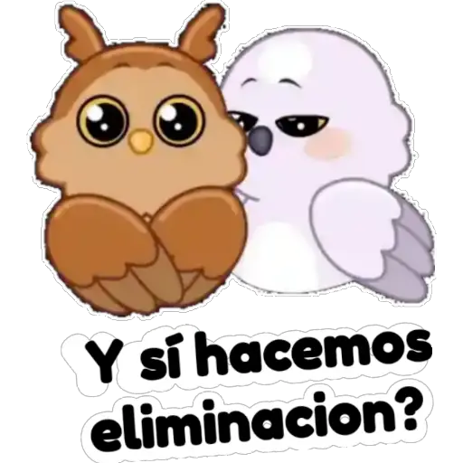 🦉Búhos Admi🦉 