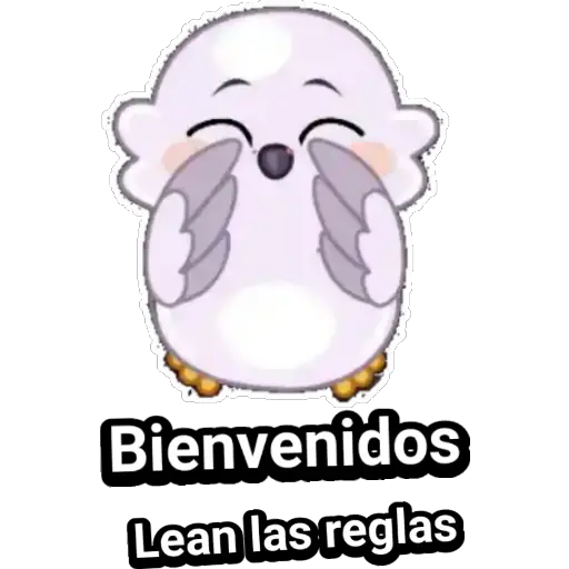 🦉Búhos Admi🦉 