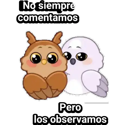 🦉Búhos Admi🦉 