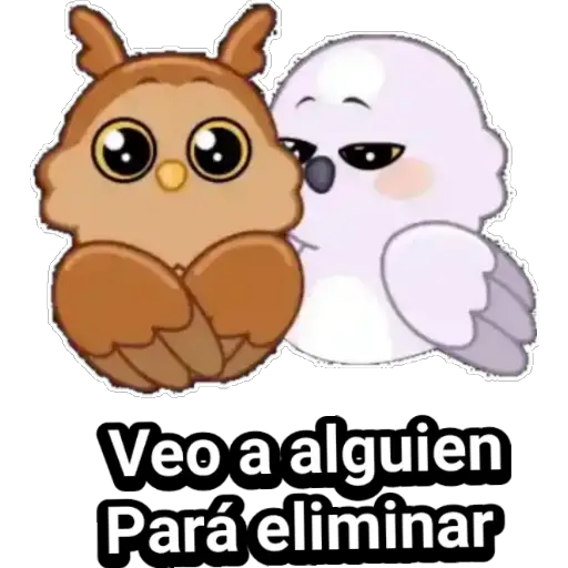 🦉Búhos Admi🦉 