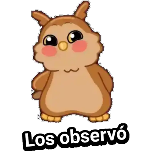 🦉Búhos Admi🦉 