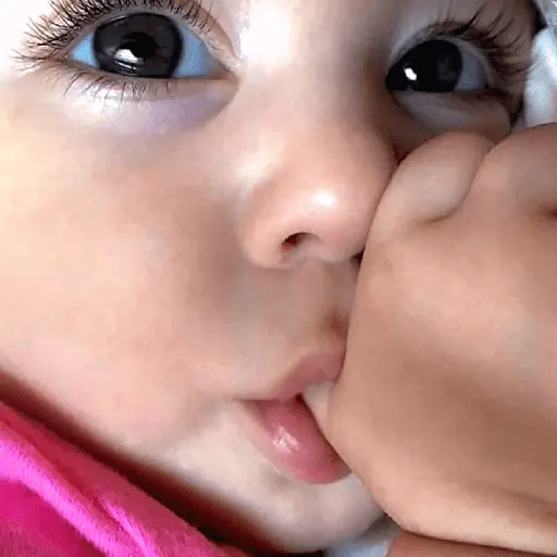 🪁❣️🧸 BEBÉS 6.0 🧸❣️🪁