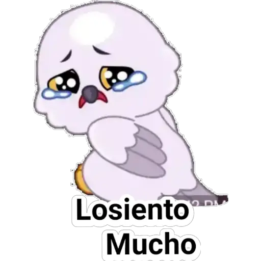 🦉buhos🦉 