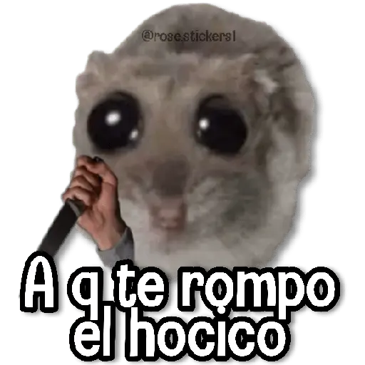 Rata Triste🐀🥲