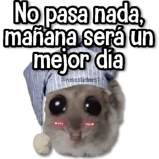Rata Triste🐀🥲