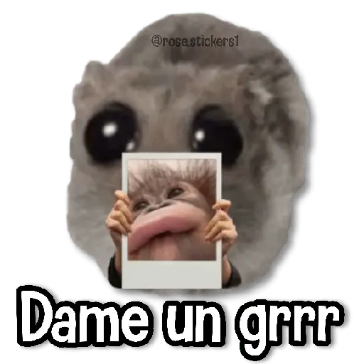 Rata Triste🐀🥲
