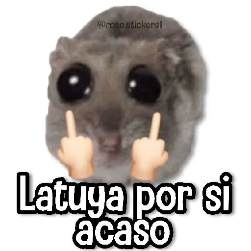 Rata Triste🐀🥲 preview