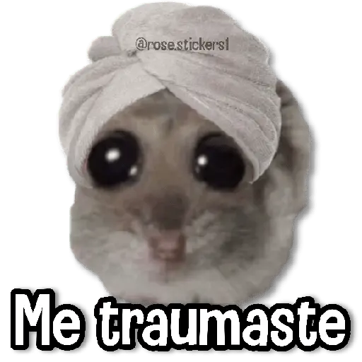 Rata Triste🐀🥲