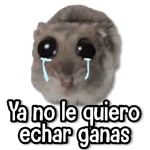 Rata Triste🐀🥲