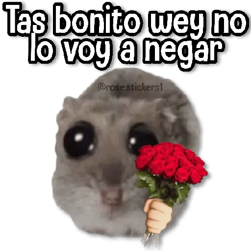Rata Triste🐀🥲