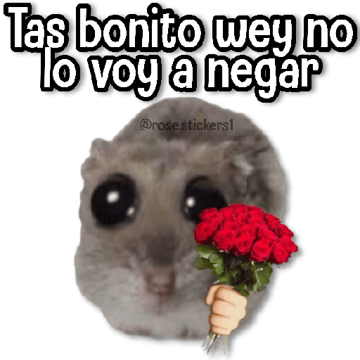 Rata Triste🐀🥲 preview