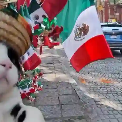 Septiembre 🇲🇽 viva México 💚🤍♥️