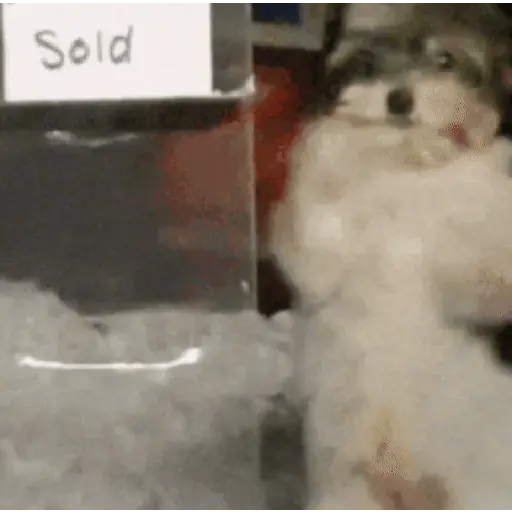 7️⃣ Animados par ti 😎🎉 preview