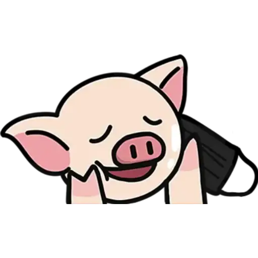 CERDITO Y SU MASCARILLA NPC
