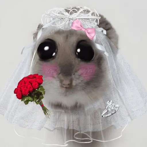 Rata Triste-Memes🐭🥹✨