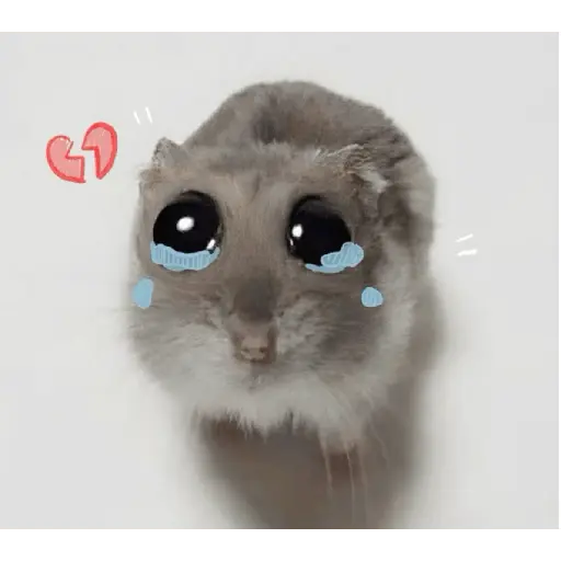 Rata Triste-Memes🐭🥹✨