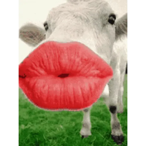 🫦💋🤣Mordiendose el dedo - GIF  