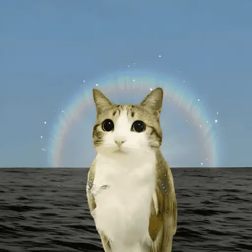 Meowl 🐱Gatos michis 🐾