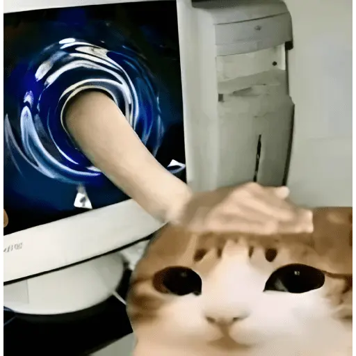 Meowl 🐱Gatos michis 🐾