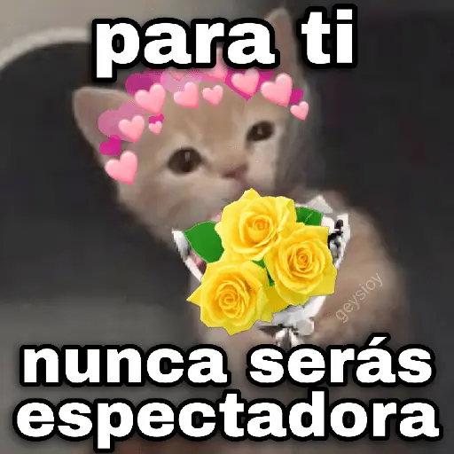 Flores amarillas🌻🍃💐