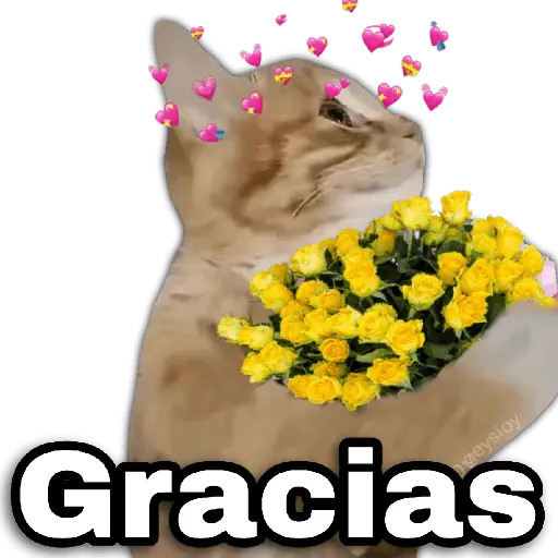 Flores amarillas🌻🍃💐