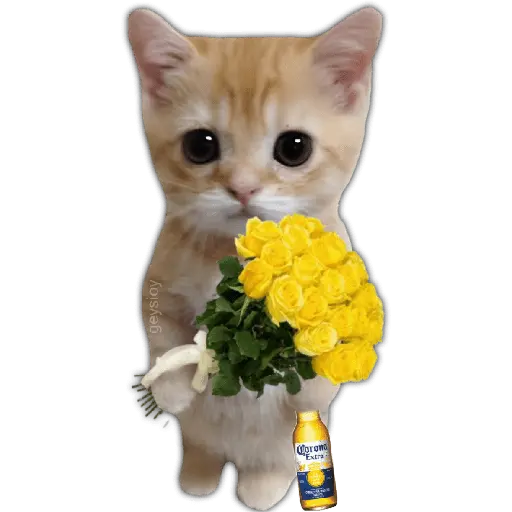 Flores amarillas🌻🍃💐