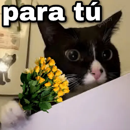Flores amarillas🌻🍃💐