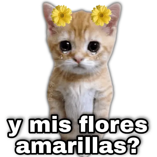 Flores amarillas🌻🍃💐