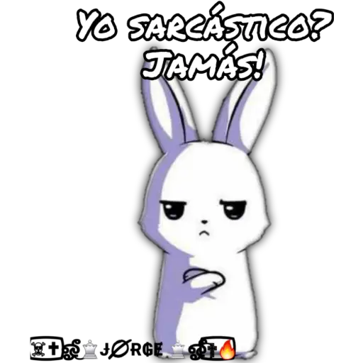 Conejo loco 