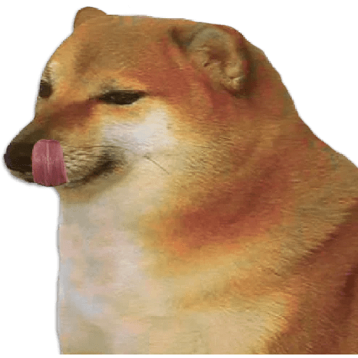 Perros xd preview
