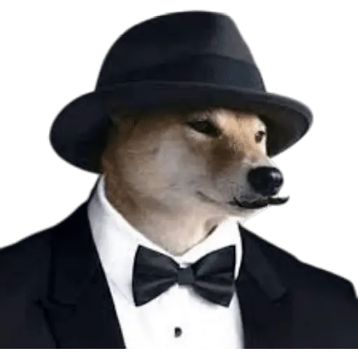 Perros xd