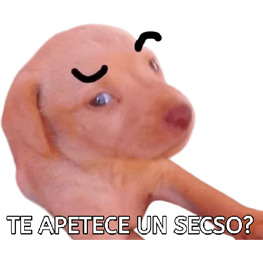 Perros xd preview