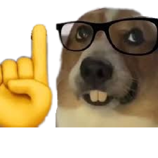Perros xd preview