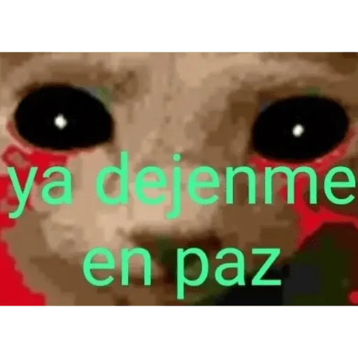 chiikawateamo