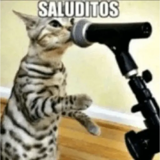 chiikawateamo