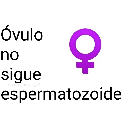📗⛳ FRASES [Brat] 7 ⛳📗