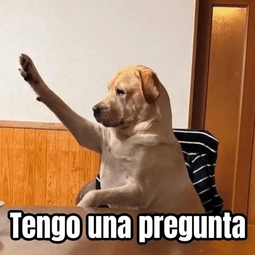 Memes pa reaccionar 🤣