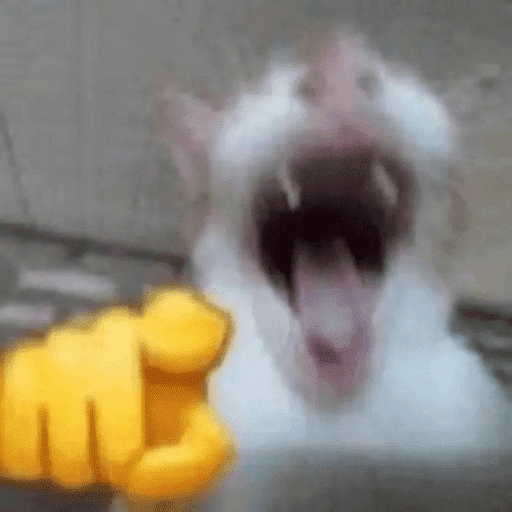 Memes pa reaccionar 🤣 preview