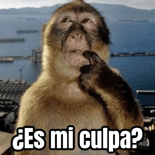 Memes pa reaccionar 🤣