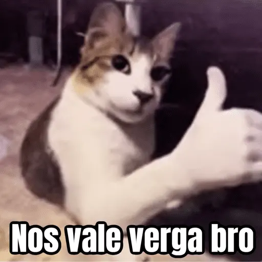 Memes pa reaccionar 🤣