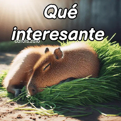 Modo Capibara  🦫(⁠´⁠(⁠ｪ⁠)⁠｀⁠）