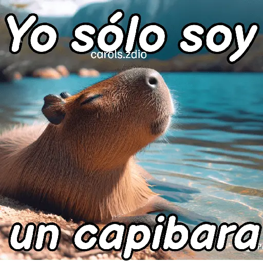 Modo Capibara  🦫(⁠´⁠(⁠ｪ⁠)⁠｀⁠）