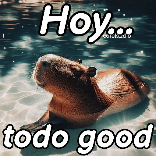Modo Capibara  🦫(⁠´⁠(⁠ｪ⁠)⁠｀⁠）