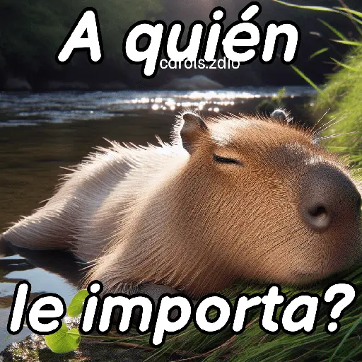 Modo Capibara  🦫(⁠´⁠(⁠ｪ⁠)⁠｀⁠）