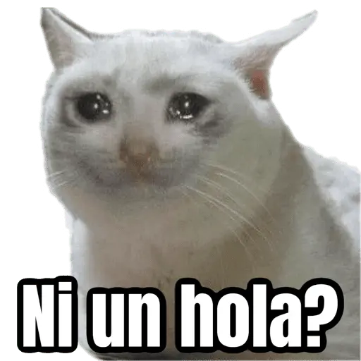🥲 Memes tristes pa el chat 🥲🤣