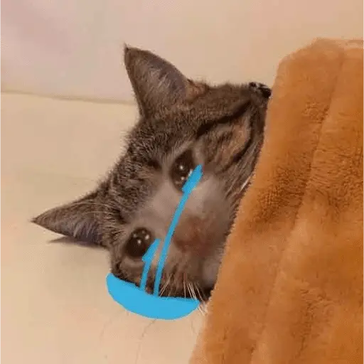 🥲 Memes tristes pa el chat 🥲🤣