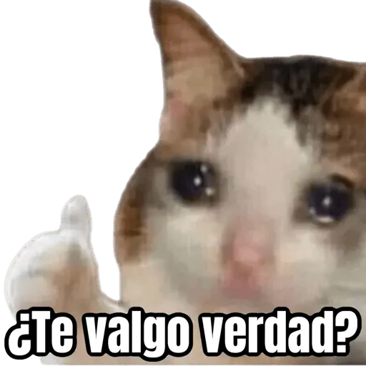 🥲 Memes tristes pa el chat 🥲🤣