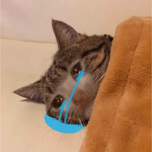 🥲 Memes tristes pa el chat 🥲🤣 preview