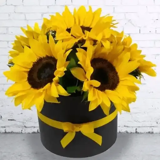 Flores Amarillas🌻💛