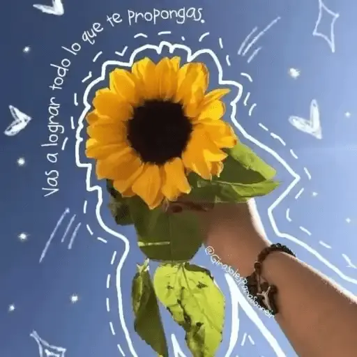 Flores Amarillas🌻💛